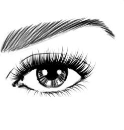 L’Oréal Paris Volume Million Lashes - 01 Extra Zwart - Volume Mascara - 10.7 Ml 23 L’Oréal Paris Volume Million Lashes - 01 Extra Zwart - Volume Mascara - 10.7 Ml -Cosmetica Winkel 1152x1200 2