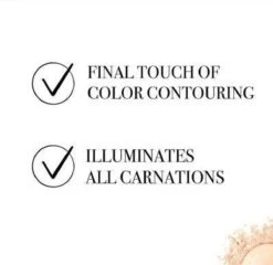 Bourjois Le Petit Strober Highlighter - 00 Universal Glow -Cosmetica Winkel 1200x1164 65