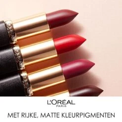 L'Oréal Paris Color Riche Matte Lippenstift - 655 Copper Clutch 19 L'Oréal Paris Color Riche Matte Lippenstift - 655 Copper Clutch -Cosmetica Winkel 1200x1198 4