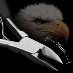 WVspecials® Professionele Zwarte Nagelschaar - Kalknagel Schaar - Ingegroeide Teennagel - Nageltang Groot -Nagelschaar Voor Harde Nagels - Teennagel - Nageltang - Nagelschaartje - Nagelschaar - Kalknagels - Schaar - Hand Verzorging - Nagelknipper -Cosmetica Winkel 1200x1198 84