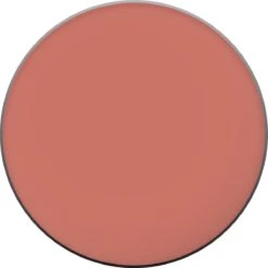 L'Oréal Paris True Match Blush - 145 Bois De Rose 39 L'Oréal Paris True Match Blush - 145 Bois De Rose -Cosmetica Winkel 1200x1200 1355