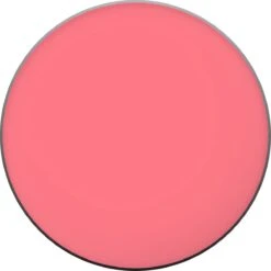 L'Oréal Paris True Match Blush - 165 Rose Bonne Mine 29 L'Oréal Paris True Match Blush - 165 Rose Bonne Mine -Cosmetica Winkel 1200x1200 1390
