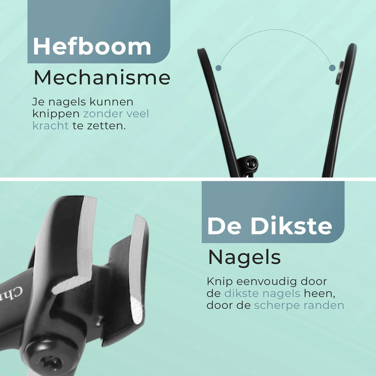 Nagelknipper Set Met Nagelvijl - Nagelset Tegen Kalknagels - Nageltang - Teennagelknipper - Ingegroeide Teennagel - Kalknagel -Schimmelnagel 6 Nagelknipper Set Met Nagelvijl - Nagelset Tegen Kalknagels - Nageltang - Teennagelknipper - Ingegroeide Teennagel - Kalknagel -Schimmelnagel - Afbeelding 6