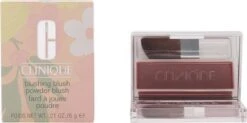 Clinique Blushing Blush Powder Blush - 120 Bashful Blush -Cosmetica Winkel 1200x597 3