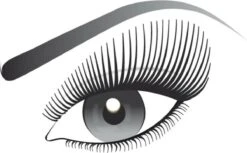 L’Oréal Paris False Lash Telescopic Mascara - Zwart -Cosmetica Winkel 1200x741 2