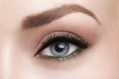 L'Oréal Paris La Petite Palette Oogschaduw - 05 Feminist 28 L'Oréal Paris La Petite Palette Oogschaduw - 05 Feminist -Cosmetica Winkel 1200x799 7