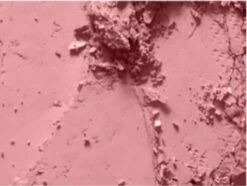 MAC Cosmetics Blush Mocha 7 MAC Cosmetics Blush Mocha -Cosmetica Winkel 1200x906 4